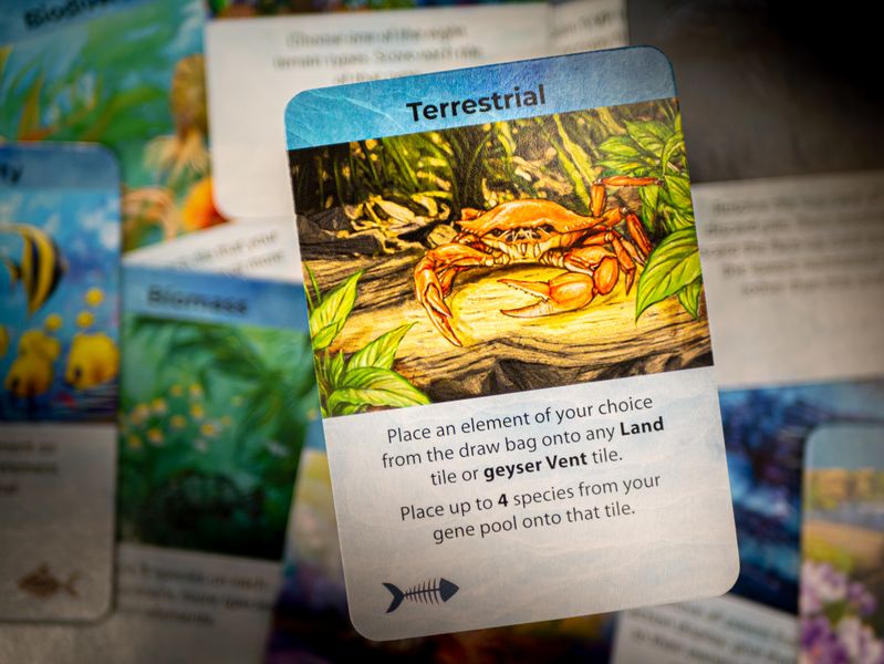 Dominant Species: Marine, English Edition