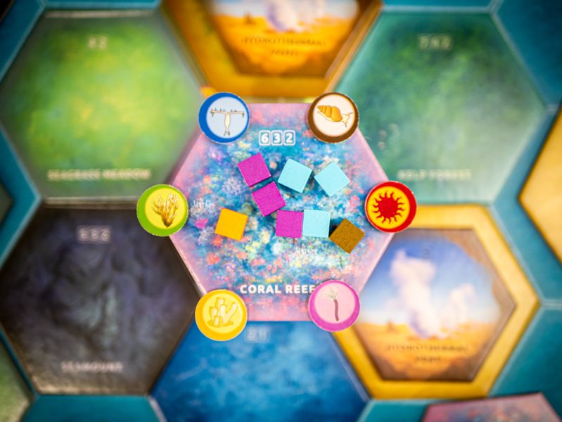 Dominant Species: Marine, English Edition