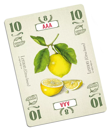 Pies, English Edition