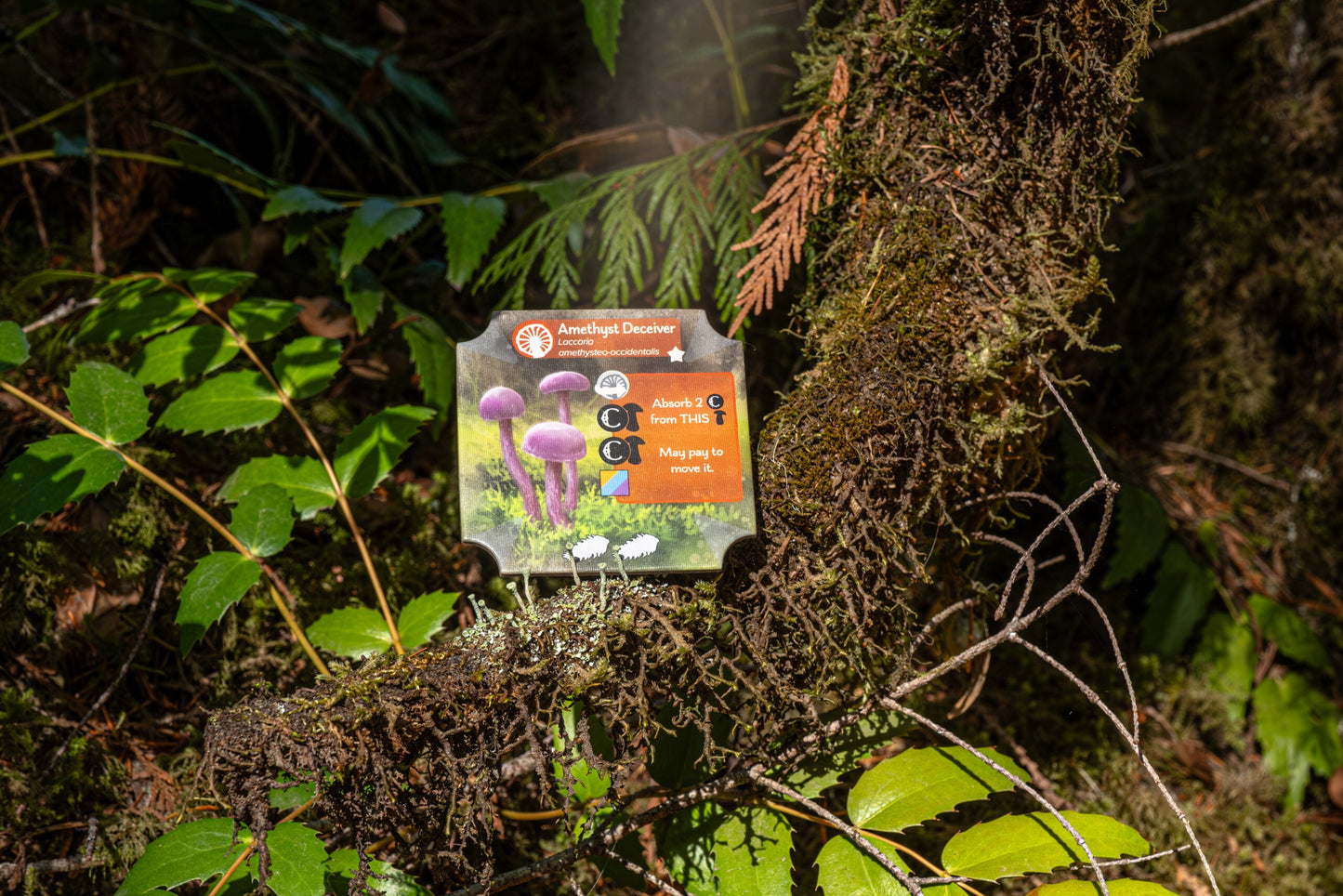 Undergrove English Edition