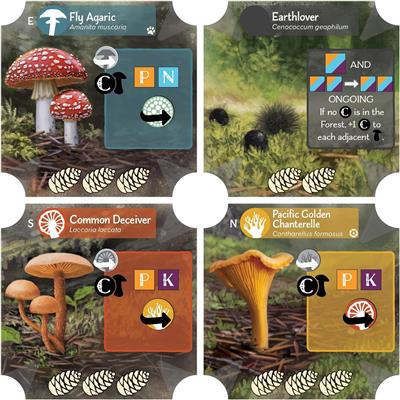 Undergrove English Edition
