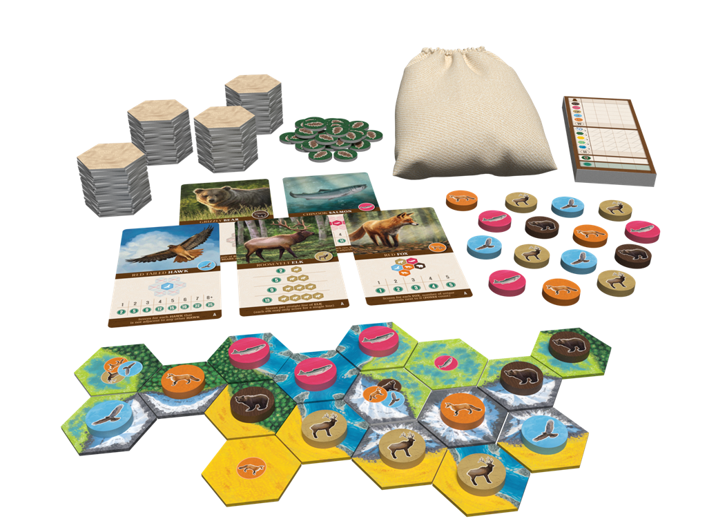 Cascadia English Board Game
