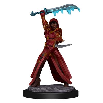 Dungeons &amp; Dragons Icons of the Realms Painted Figures