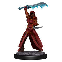 Dungeons &amp; Dragons Icons of the Realms Painted Figures