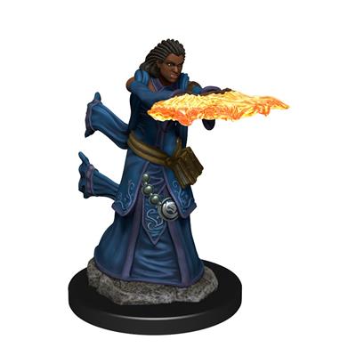 Dungeons &amp; Dragons Icons of the Realms Painted Figures