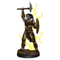 Dungeons &amp; Dragons Icons of the Realms Painted Figures