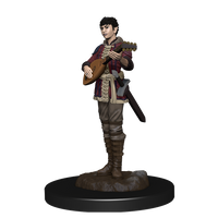 Dungeons &amp; Dragons Icons of the Realms Painted Figures