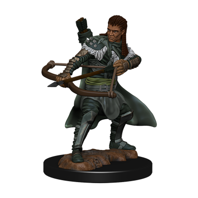 Dungeons &amp; Dragons Icons of the Realms Painted Figures