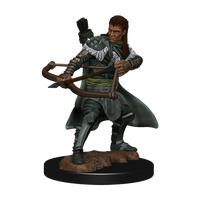 Dungeons &amp; Dragons Icons of the Realms Painted Figures