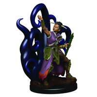 Dungeons &amp; Dragons Icons of the Realms Painted Figures