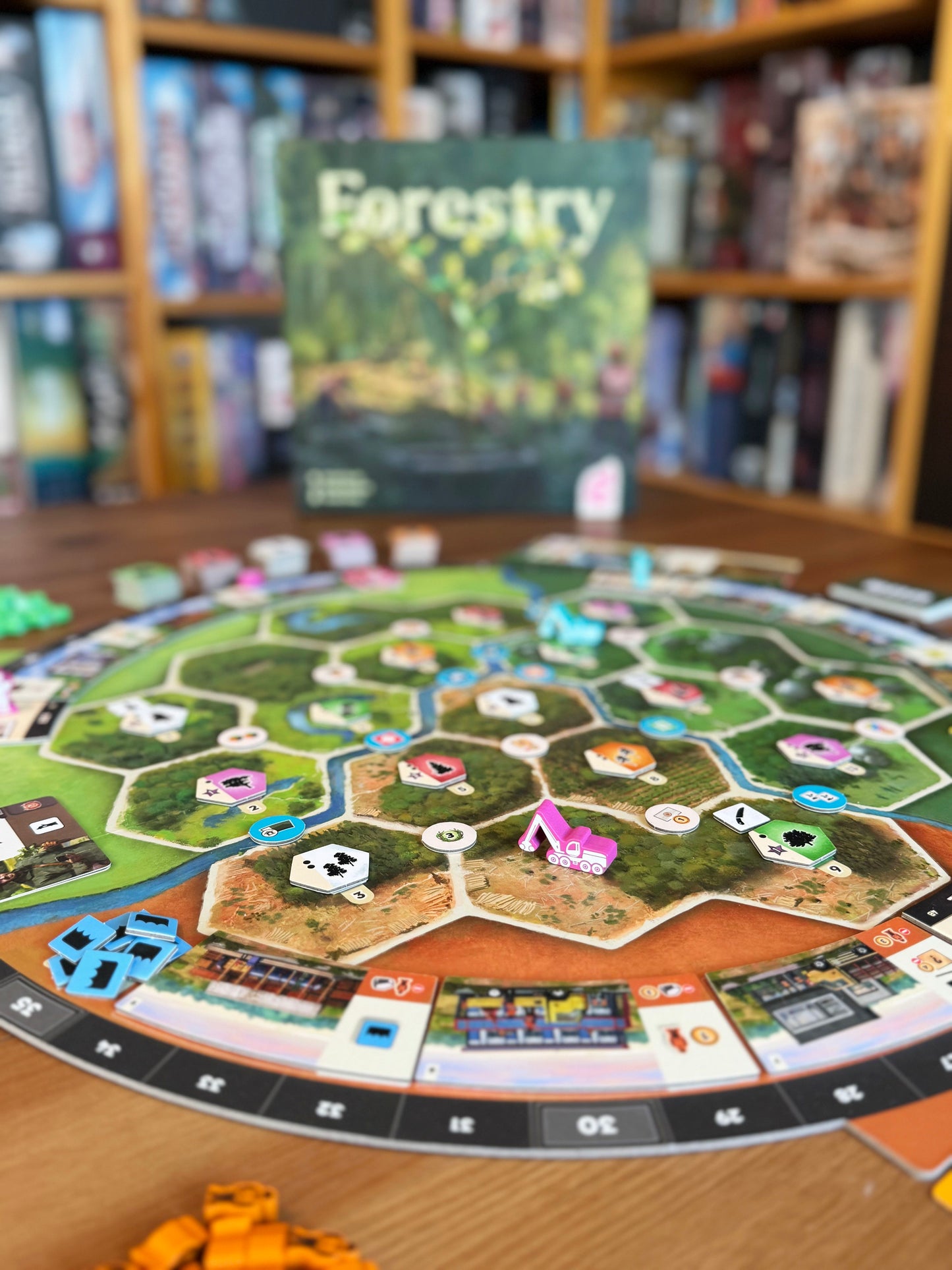 Forestry English Board Game
