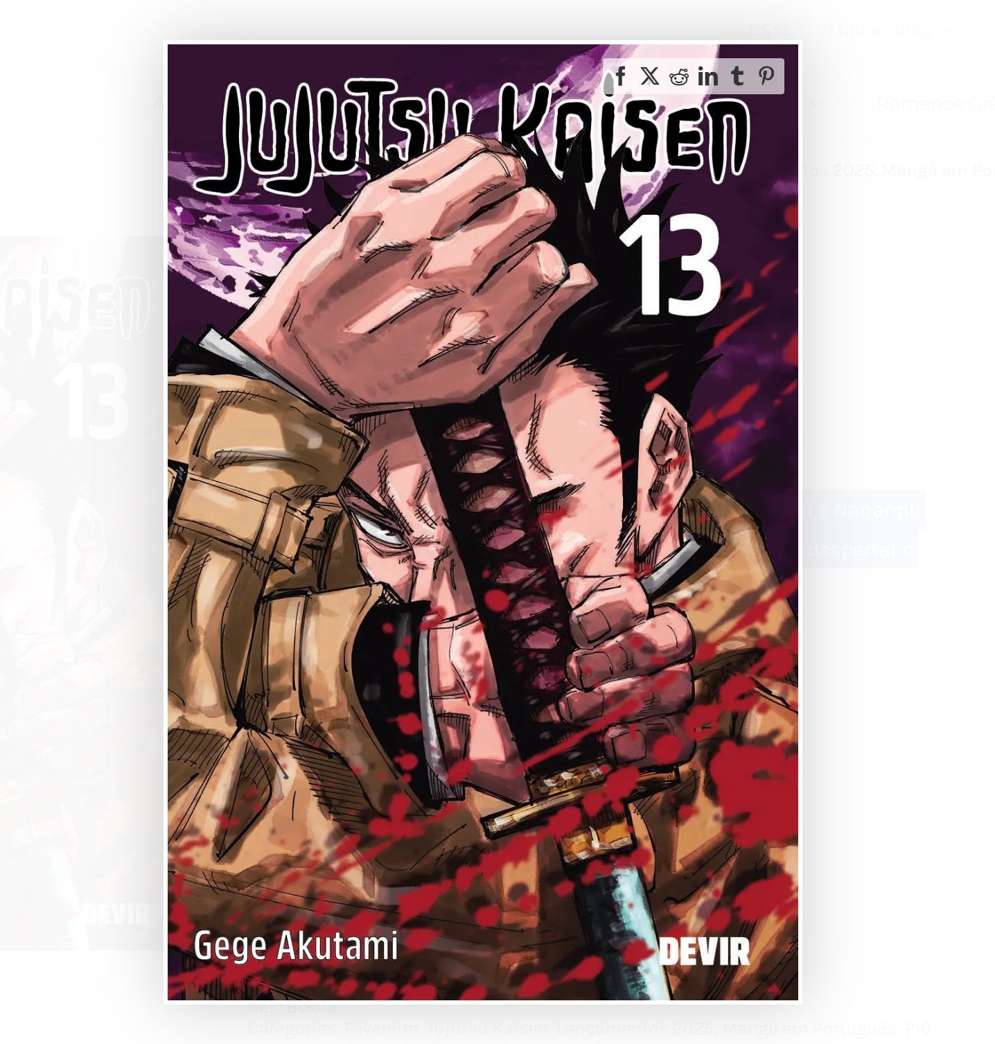 Jujutsu Kaisen 13 PT