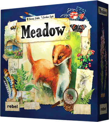 Meadow (English)